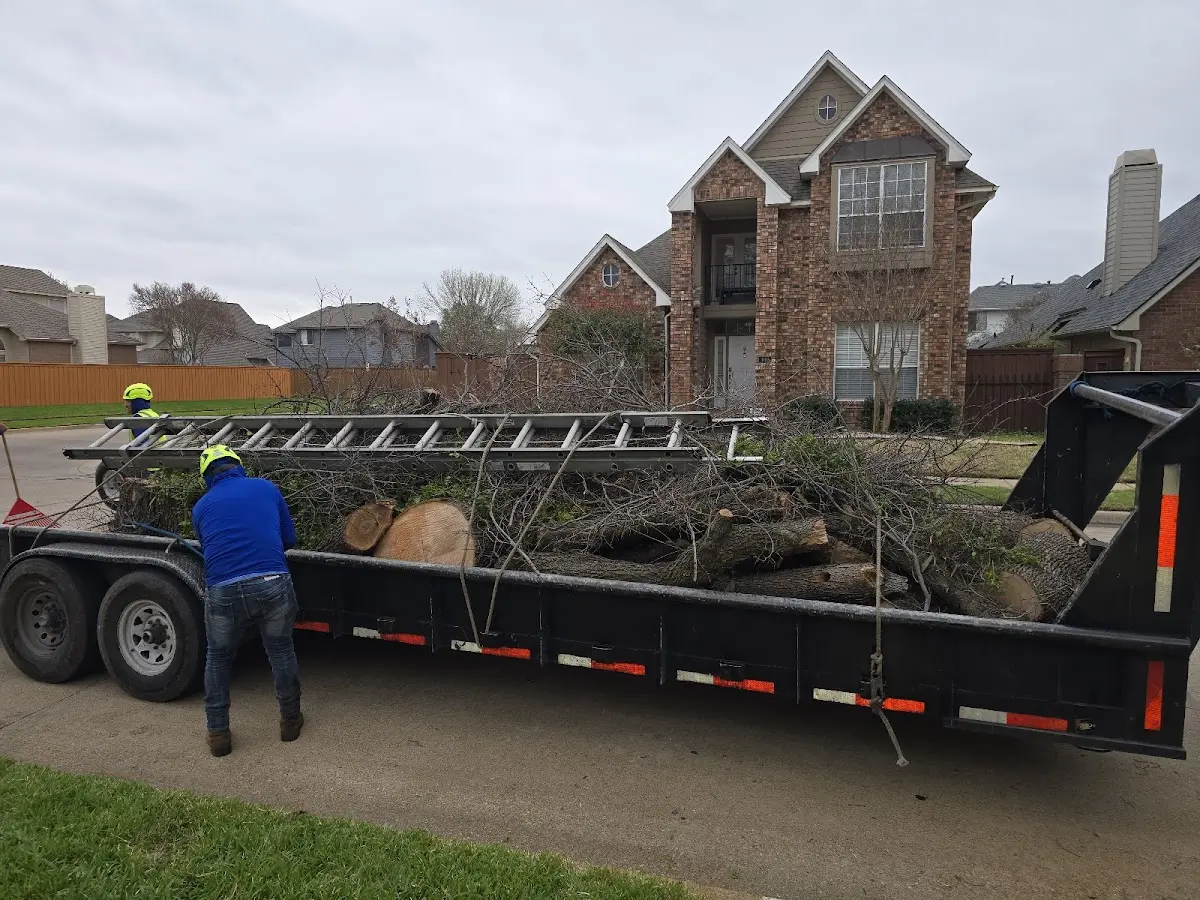 Expert Tree Fertilization with proper safety equipment in Riceboro